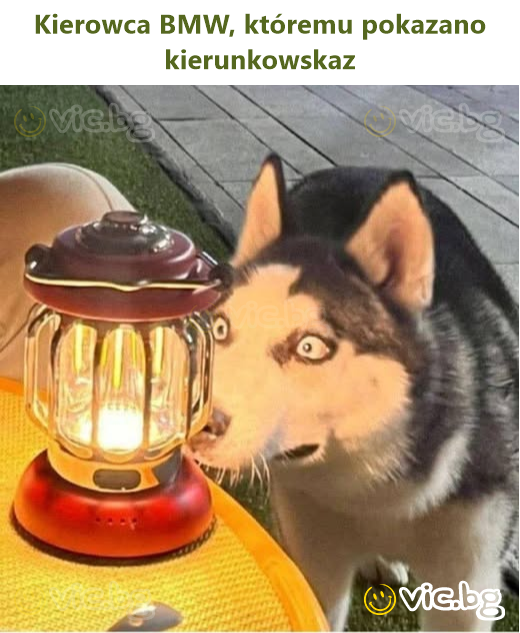 Kierowca BMW, któremu pokazano kierunkowskaz