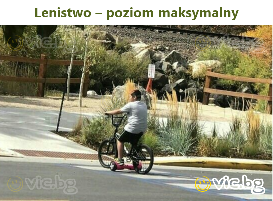 Lenistwo – poziom maksymalny