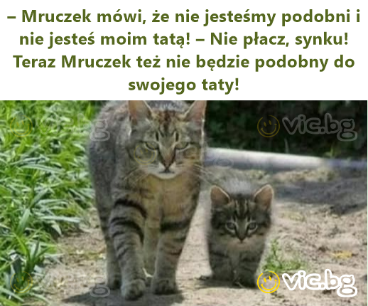 – Mruczek mówi, że nie jesteśmy podobni i nie jesteś moim tatą! – Nie płacz, synku! Teraz Mruczek też nie będzie podobny do swojego taty!