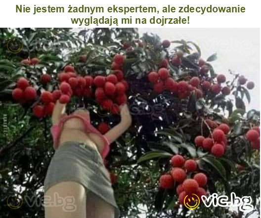 Nie jestem żadnym ekspertem, ale zdecydowanie wyglądają mi na dojrzałe!