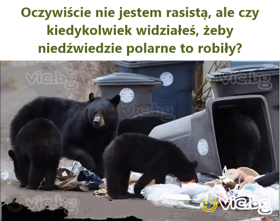 Oczywiście nie jestem rasistą, ale czy kiedykolwiek widziałeś, żeby niedźwiedzie polarne to robiły?