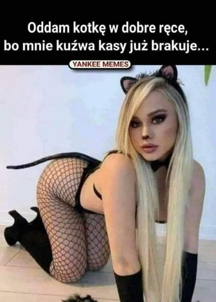 Oddam kotke w dobre rece, bo mnie kuzwa kasy juz brakuje...
