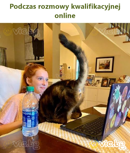 Podczas rozmowy kwalifikacyjnej online