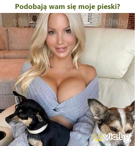 Podobają wam się moje pieski?