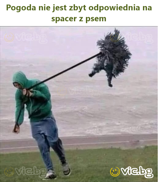 Pogoda nie jest zbyt odpowiednia na spacer z psem