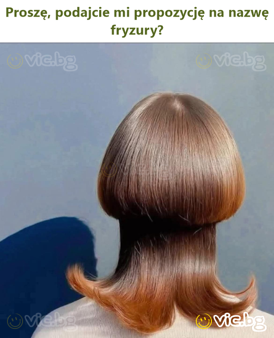 Proszę, podajcie mi propozycję na nazwę fryzury?