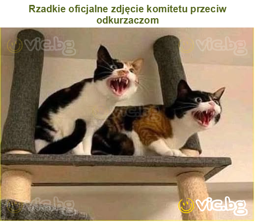 Rzadkie oficjalne zdjęcie komitetu przeciw odkurzaczom