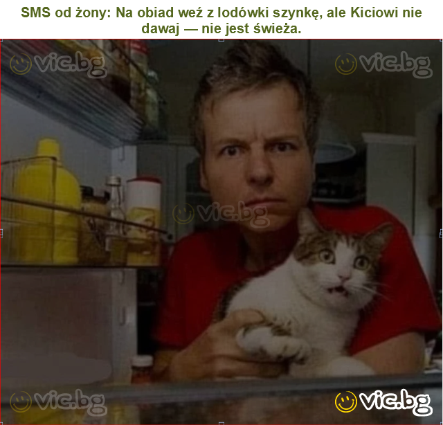 SMS od żony: Na obiad weź z lodówki szynkę, ale Kiciowi nie dawaj — nie jest świeża.
