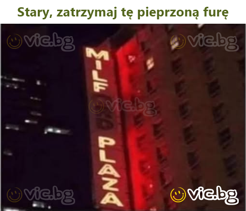 Stary, zatrzymaj tę pieprzoną furę