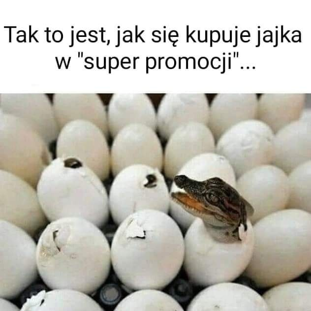 Tak to jest, jak sie kupuje jajka w "super promoocji"...