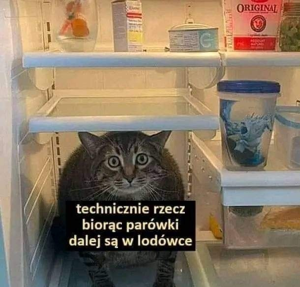 Technicznie rzecz biorac parówki dalej sa w lodówce