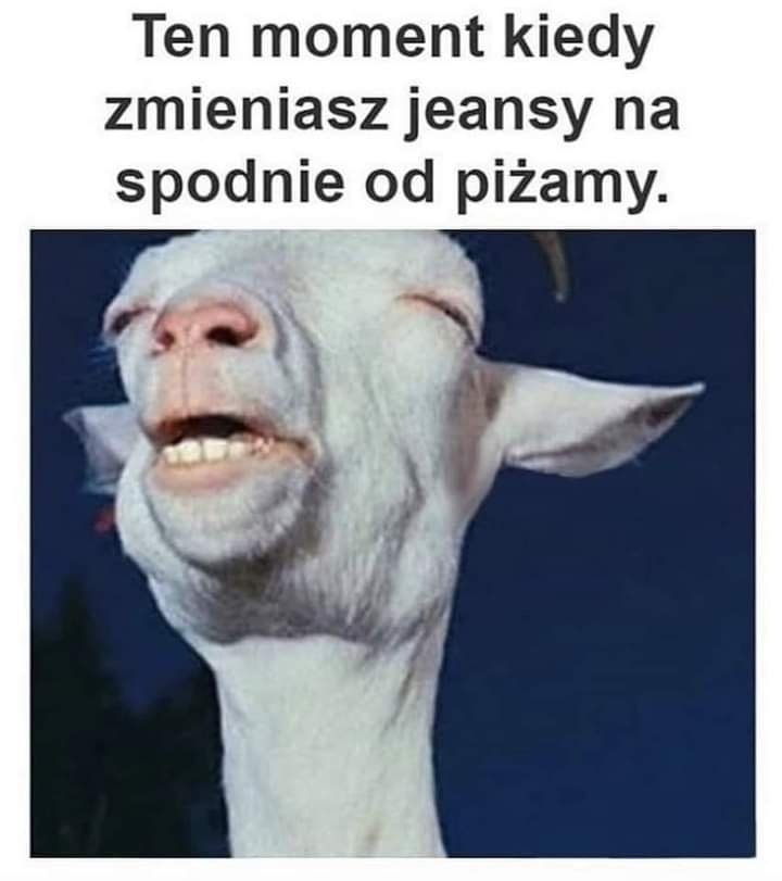 Ten moment kiedy zmieniasz jeansy na spodnie od pizamy.