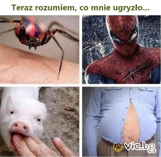 Teraz rozumiem, co mnie ugryzło...