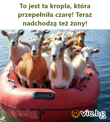 To jest ta kropla, która przepełniła czarę! Teraz nadchodzą też żony!