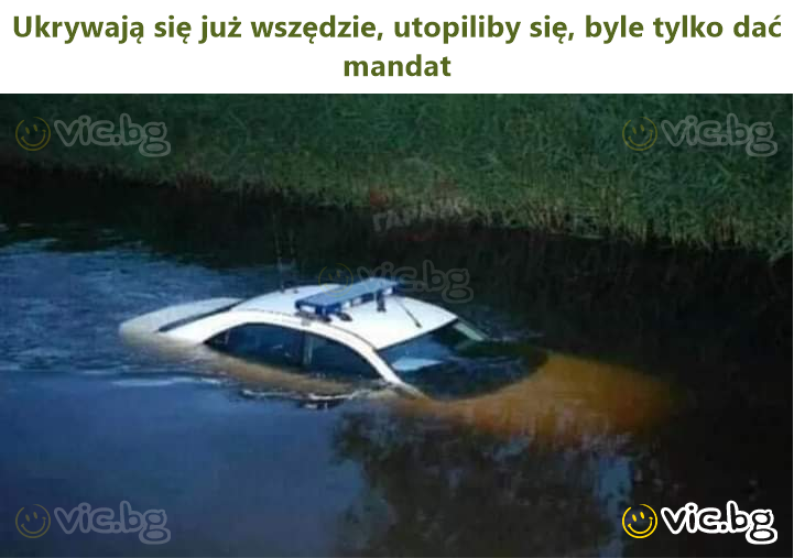 Ukrywają się już wszędzie, utopiliby się, byle tylko dać mandat