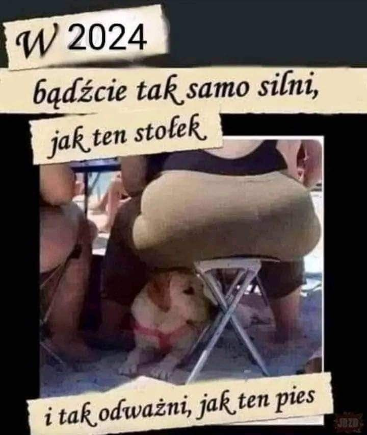 W 2024 badicie tak samo silni, jak ten stolek i tak odwazni, jak ten pies