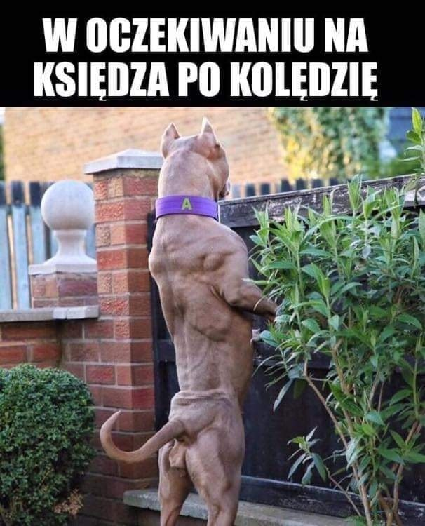 W oczekiwaniu na ksiedza po koledzie