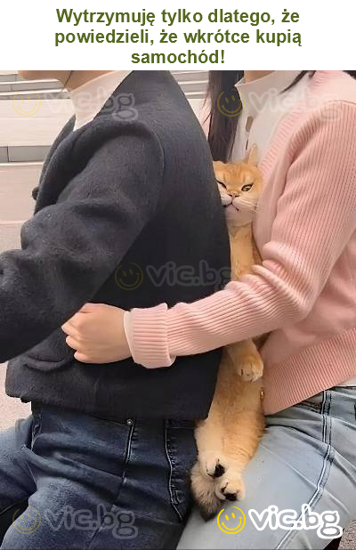 Wytrzymuję tylko dlatego, że powiedzieli, że wkrótce kupią samochód!