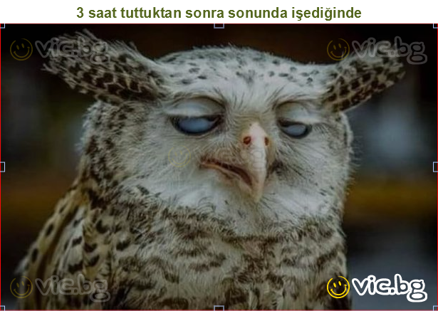 3 saat tuttuktan sonra sonunda işediğinde