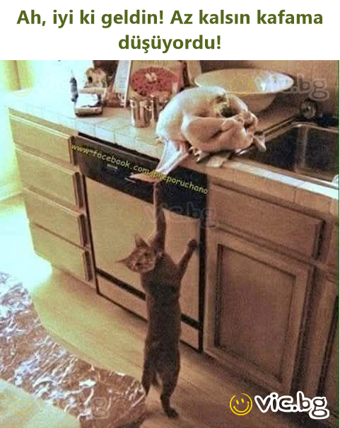 Ah, iyi ki geldin! Az kalsın kafama düşüyordu!