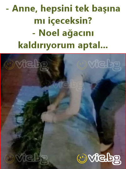 - Anne, hepsini tek başına mı içeceksin? - Noel ağacını kaldırıyorum aptal...