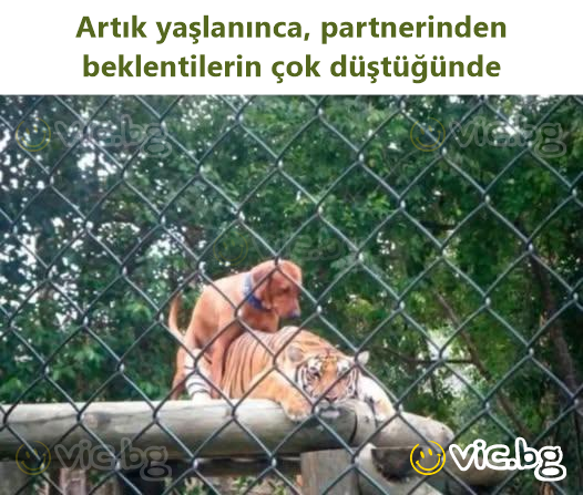 Artık yaşlanınca, partnerinden beklentilerin çok düştüğünde