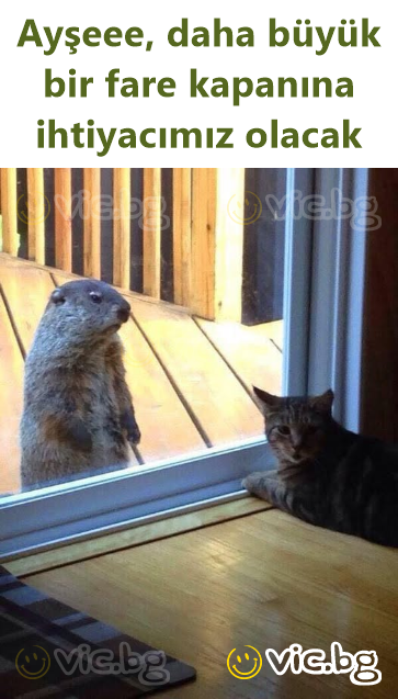 Ayşeee, daha büyük bir fare kapanına ihtiyacımız olacak