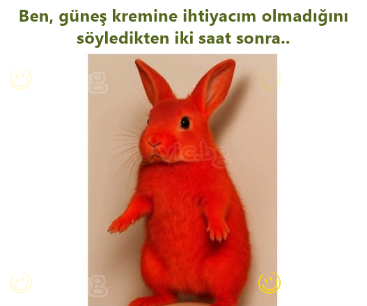Ben, güneş kremine ihtiyacım olmadığını söyledikten iki saat sonra..