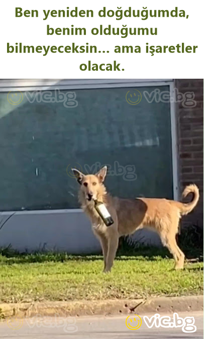 Ben yeniden doğduğumda, benim olduğumu bilmeyeceksin… ama işaretler olacak.