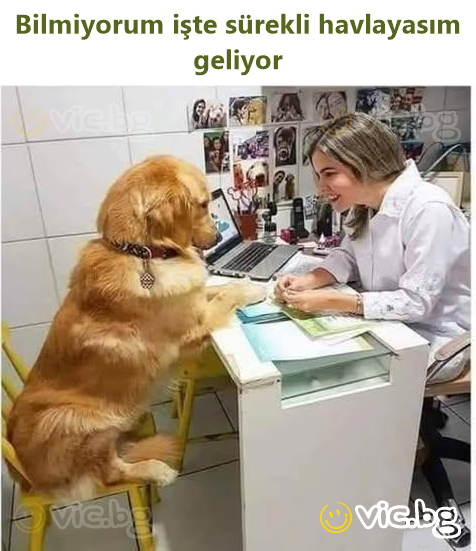 Bilmiyorum işte sürekli havlayasım geliyor