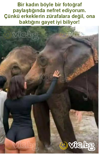 Bir kadın böyle bir fotoğraf paylaştığında nefret ediyorum.
Çünkü erkeklerin zürafalara değil, ona baktığını gayet iyi biliyor!
