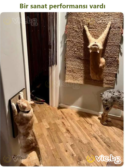 Bir sanat performansı vardı