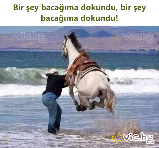 Bir şey bacağıma dokundu, bir şey bacağıma dokundu!