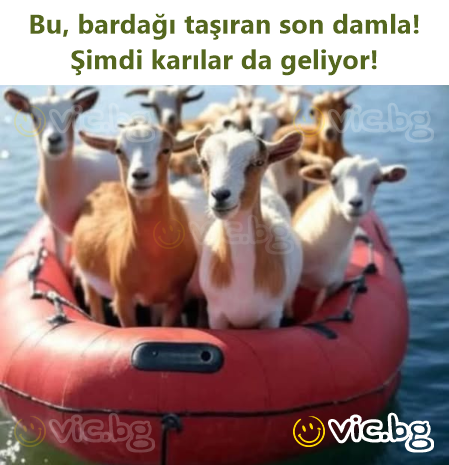 Bu, bardağı taşıran son damla! Şimdi karılar da geliyor!