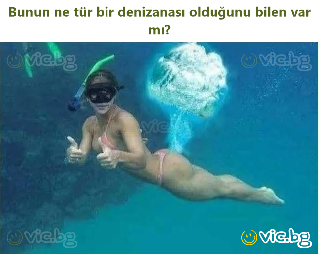 Bunun ne tür bir denizanası olduğunu bilen var mı?