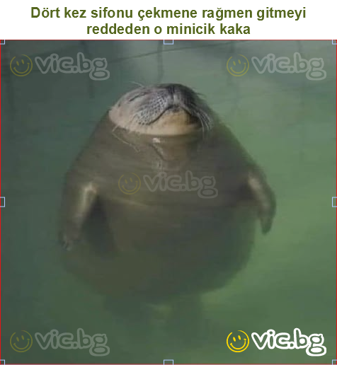 Dört kez sifonu çekmene rağmen gitmeyi reddeden o minicik kaka