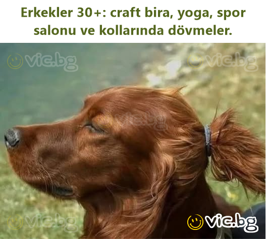 Erkekler 30+: craft bira, yoga, spor salonu ve kollarında dövmeler.