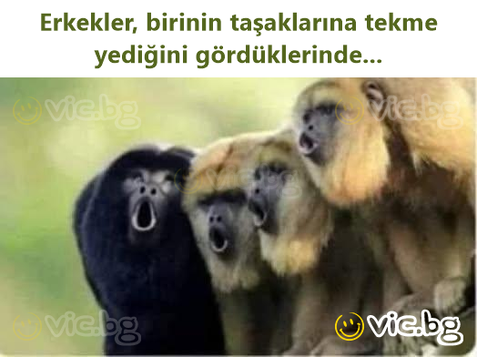 Erkekler, birinin taşaklarına tekme yediğini gördüklerinde...