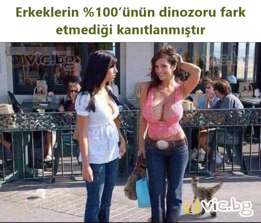Erkeklerin %100’ünün dinozoru fark etmediği kanıtlanmıştır