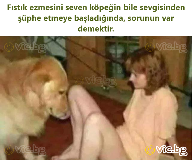 Fıstık ezmesini seven köpeğin bile sevgisinden şüphe etmeye başladığında, sorunun var demektir.