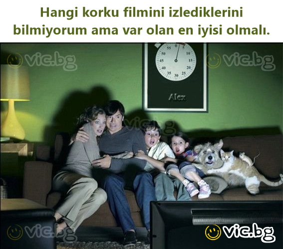 Hangi korku filmini izlediklerini bilmiyorum ama var olan en iyisi olmalı.