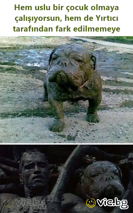 Hem uslu bir çocuk olmaya çalışıyorsun, hem de Yırtıcı tarafından fark edilmemeye