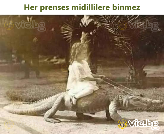 Her prenses midillilere binmez
