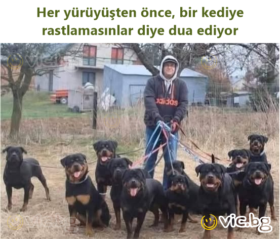 Her yürüyüşten önce, bir kediye rastlamasınlar diye dua ediyor