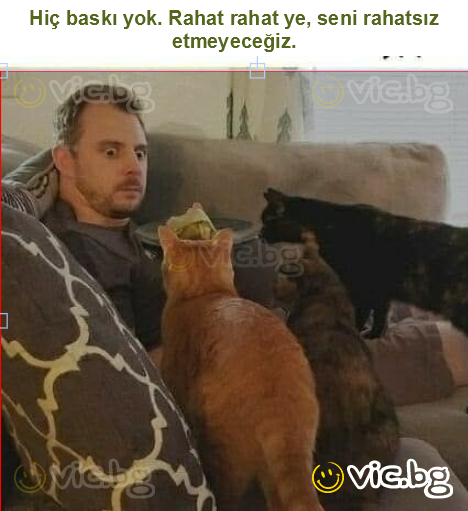 Hiç baskı yok. Rahat rahat ye, seni rahatsız etmeyeceğiz.