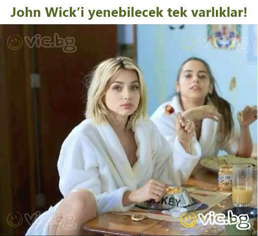 John Wick’i yenebilecek tek varlıklar!