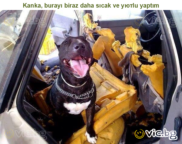 Kanka, burayı biraz daha sıcak ve уютlu yaptım