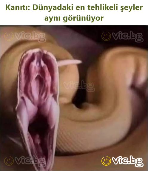 Kanıtı: Dünyadaki en tehlikeli şeyler aynı görünüyor