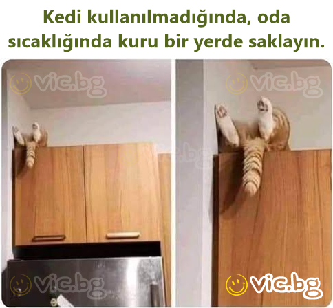 Kedi kullanılmadığında, oda sıcaklığında kuru bir yerde saklayın.