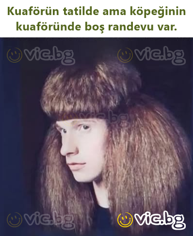 Kuaförün tatilde ama köpeğinin kuaföründe boş randevu var.